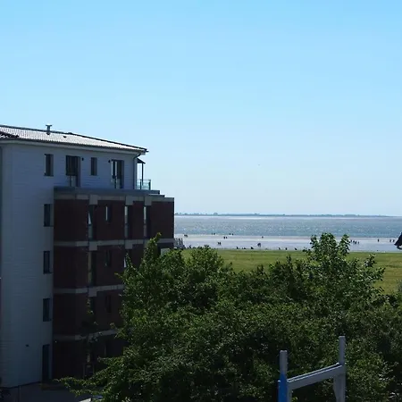 Haus Strandlaeufer 4 3 Herzmuschel *